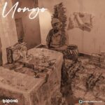 Audio Song of Rapcha – Uongo