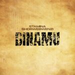 Audio Song of Stamina Ft. MwanaFA – Binamu Remix