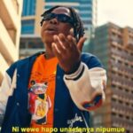 Video of Msamiati x Lody Music – Ananichanganya