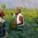 Video of Wakikuba Ft. Merry D – Nisamehe