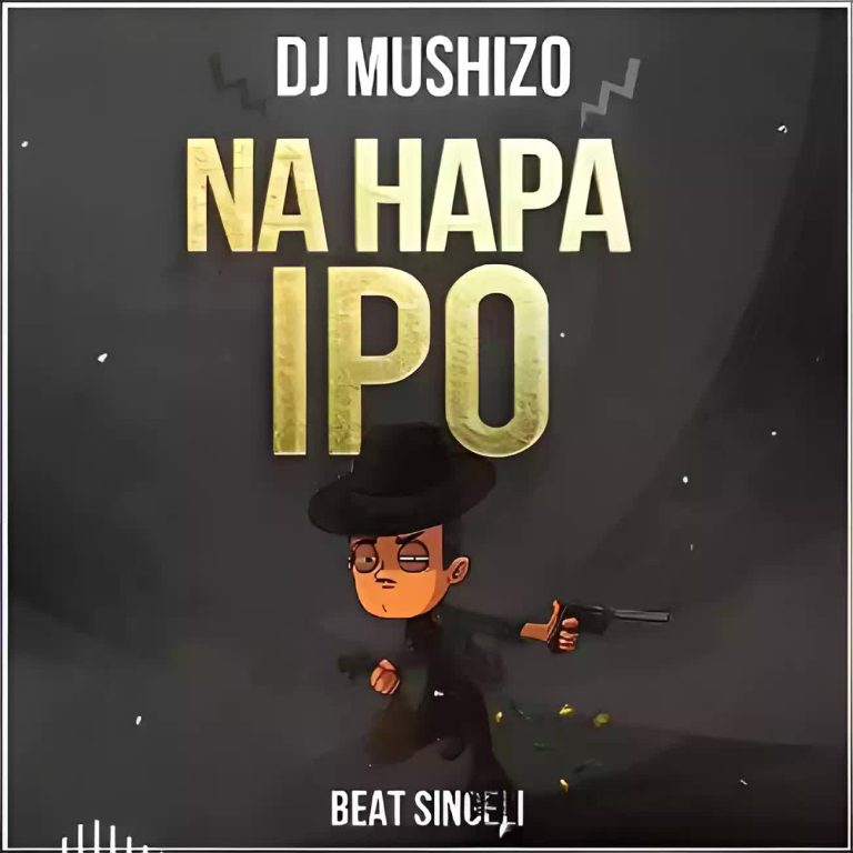 Audio Song | Dj Mushizo – Na hapa ipo Beat Singeli