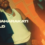 Video of FD Mwanaharakati x Lizald – Walete