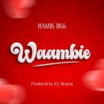 Audio Song of Hamis Bss – Waambie