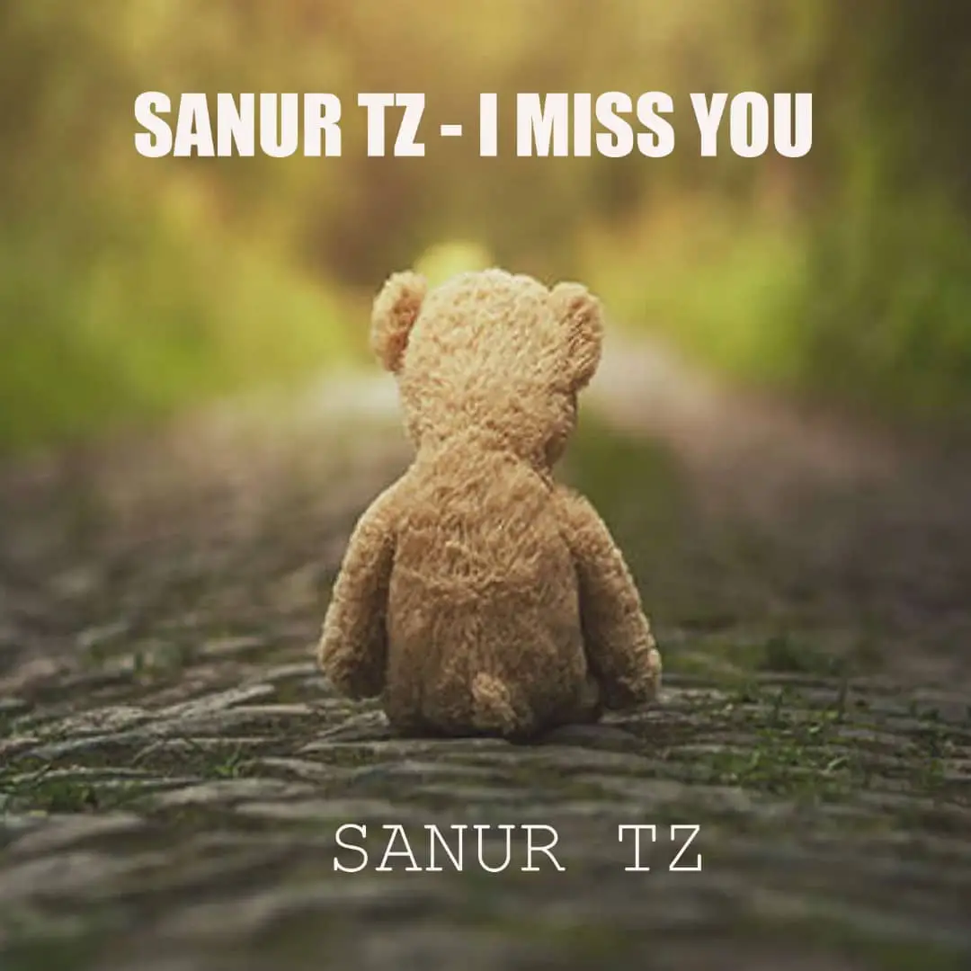 Music Audio | Sanur – I miss You