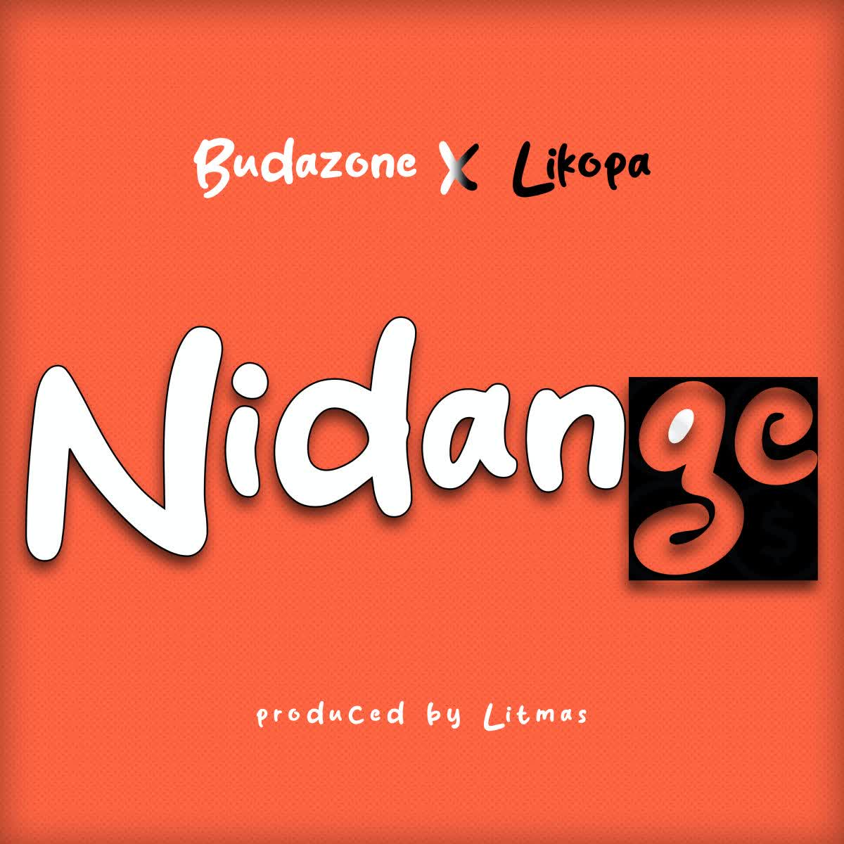 Music Audio | Budazoni X Likopa – Nidange