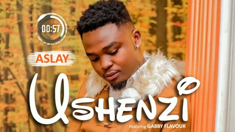 Audio Song | Aslay ft Gabby Flavour – Ushenzi