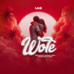 Audio Song of Udi Tz – Wote