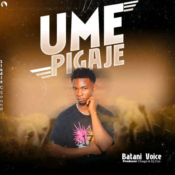 Audio Song | Batani Voice – Umepiga jee