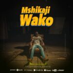 Audio Song of Tash Bablenye – Mshikaji Wako