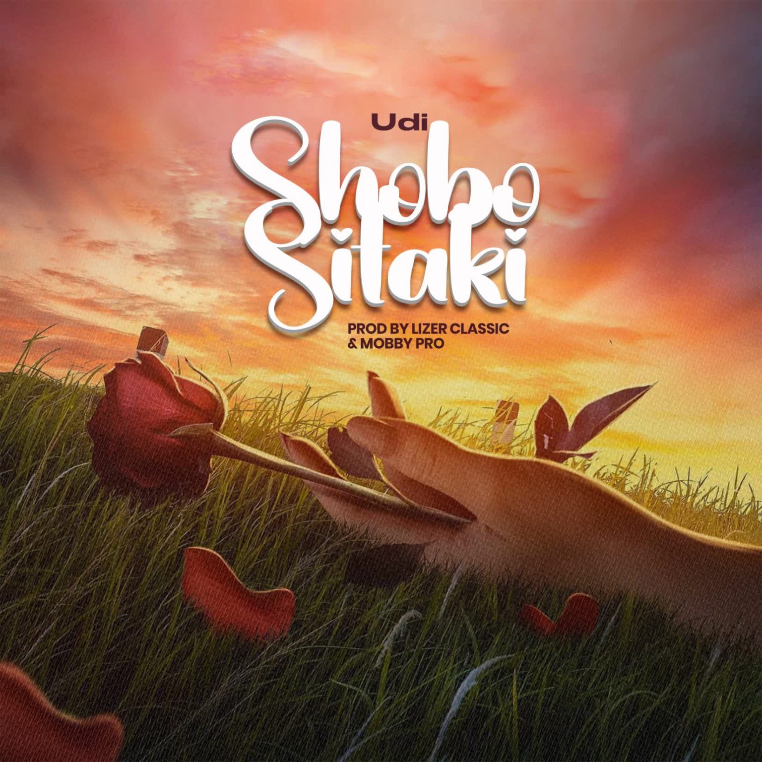 Music Audio | Udi – Shobo sitaki