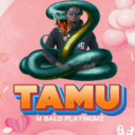 Audio Song of M Balo Platnumz – Tamu