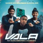 Audio Song of Dankie Boi Ft GoldMax x Blacks Jnr x Dladla Mshunqisi x Black Catz – Vala