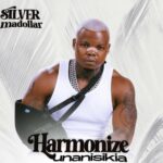 Audio Song of Silver Madollar – Harmonize Unanisikia