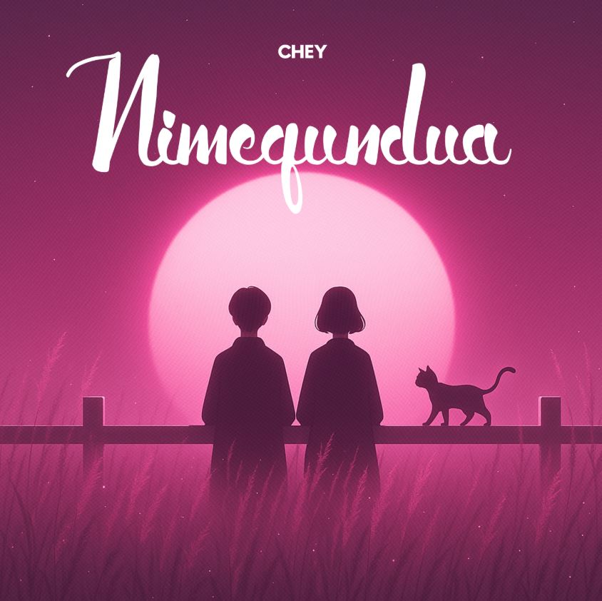 Music Audio | Chey TZ – Nimegundua